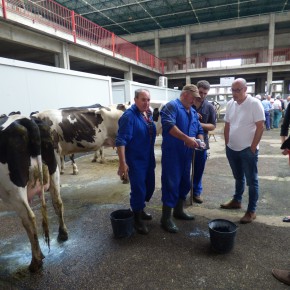 Ciudadanos (C’s) defiende un precio justo para la leche y el apoyo a sus prodcutores