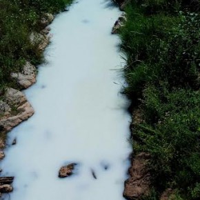 Ciudadanos (C’s) de Piélagos denuncia un vertido incontrolado de lácteos en el río Carrimón en Renedo