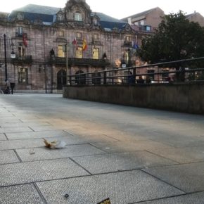 Cs Torrelavega llama la atención sobre la pésima imagen que traslada la ciudad debido a la suciedad de sus calles