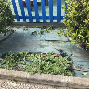 Cs Suances denuncia el “estado de dejadez” del mantenimiento de zonas comunes y jardines del municipio