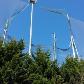 Cs Santander critica el estado de las redes del campo de golf de Mataleñas que no ofrecen seguridad a coches y peatones