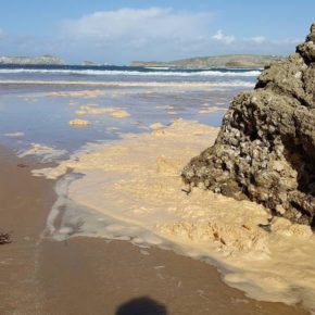 Cs Suances solicita de nuevo explicaciones del Ayuntamiento sobre los vertidos de aguas residuales en la playa de La Concha