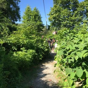 Cs Torrelavega denuncia el “aislamiento y abandono” de los vecinos del barrio La Tejera, en Barreda, por el estado de los accesos