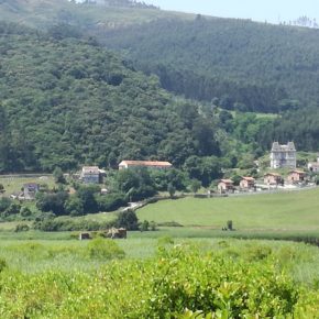 Cs Limpias apuesta por “mejorar las infraestructuras” para un mayor aprovechamiento turístico de las Marismas de Santoña