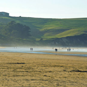 Cs San Vicente de la Barquera solicita que los accesos a la playa de Oyambre desde El Pájaro Amarillo “sean reparados de urgencia”