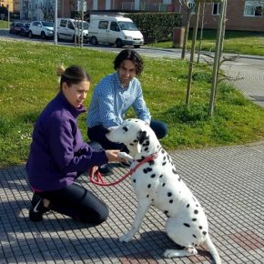 Cs Astillero-Guarnizo lamenta que el Pleno rehúse debatir la moción para luchar contra el envenenamiento de perros