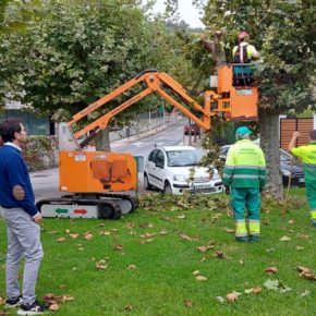 La Concejalía de Medio Ambiente del Ayuntamiento de Castro-Urdiales da inicio a las labores de poda