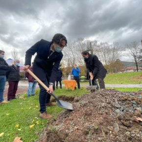 COMIENZAN LAS OBRAS DE RENOVACIÓN DE LOS COLUMPIOS DE LA CANTÁBRICA