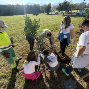 LA CAMPAÑA “UN ÁRBOL MÁS POR VECINO” PLANTARÁ 18.500 ÁRBOLES EN ASTILLERO Y GUARNIZO