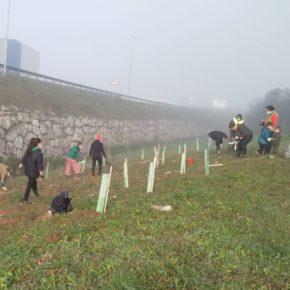 El Ayuntamiento de Astillero realizará otra plantación de árboles en la sena verde de Morero