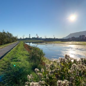 El Ayuntamiento de Astillero gana un premio nacional a las buenas prácticas medioambientales