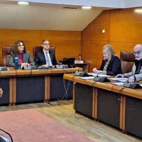 Cs defiende en el debate de enmiendas parciales ayudas económicas para entidades locales menores, mantenimiento de museos y promoción del Surf