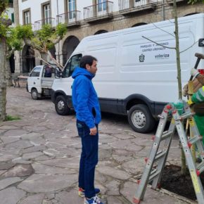Castro Urdiales inicia las labores de plantación de marras del arbolado público